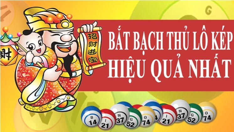 cach bat lo kep mien bac chuan xac 100% de trung nhat hinh anh 1